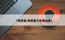 【枇杷苗,枇杷苗几年能结果】