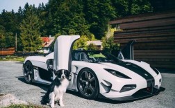 【科尼赛克agerar,科尼赛克agerars RS】