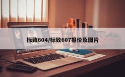 标致604/标致607报价及图片