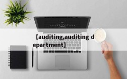 【auditing,auditing department】