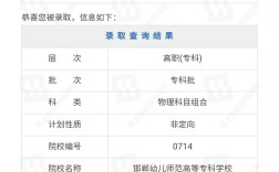 2022年高考录取查询入口(2022年高考录取查询入口官网)
