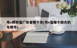 粤e牌照是广东省哪个市(粤e是哪个地方的车牌号)