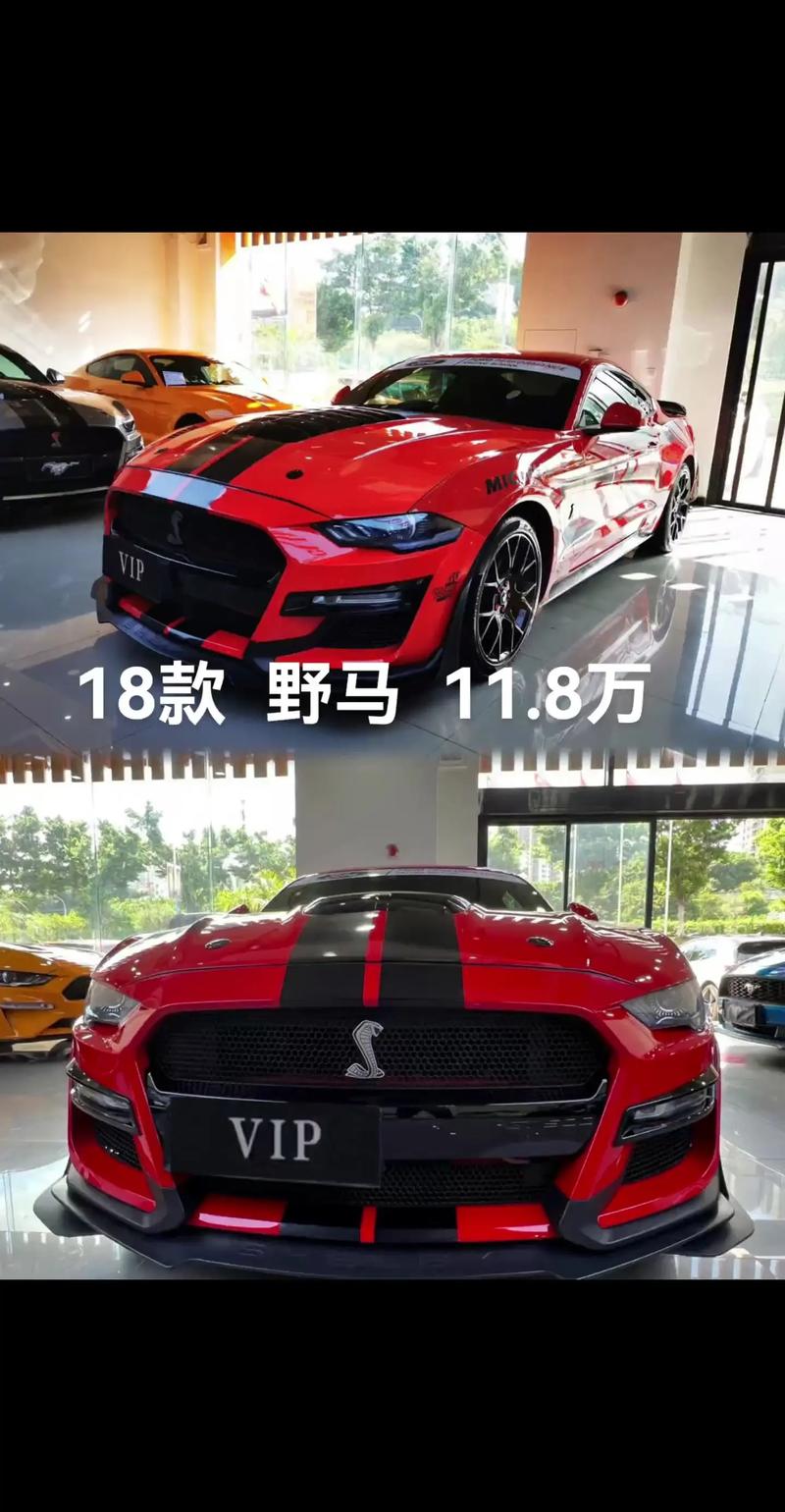 奔跑的马是什么牌子的车/福特野马跑车多少钱