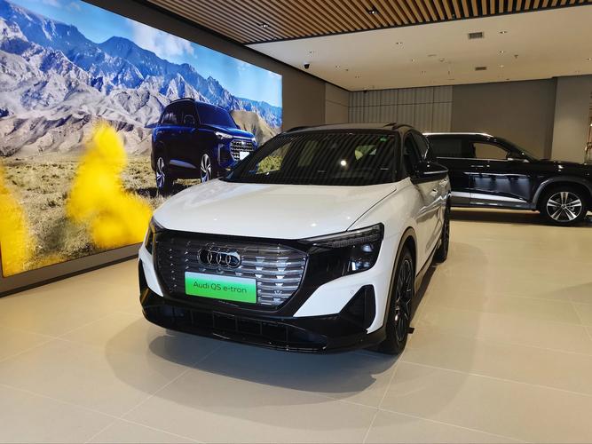 q5etron电动车(电动 q5etron)