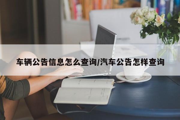 车辆公告信息怎么查询/汽车公告怎样查询